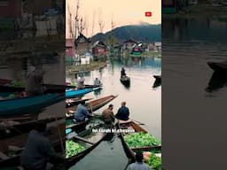 Most Beautiful Floating Market in India | Kashmir