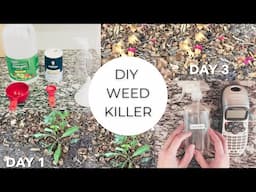 DIY Weed Killer / Pet Safe Weed Killer /  2 Ingredient Homemade Weed Killer / DIY By The Pond /