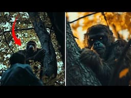 BIGFOOT Spotted? REAL Trail Cam FOOTAGE Leaves Experts Stunned!