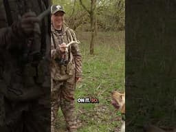 Dog Shed Hunting #shedseason #antlers #shedhunting #dog #retriever #outdoors #goodboy #fun