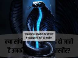 आँखों में छप जाती है तसवीर #snake #snakevideo #snakes #kingcobra #snakehead #ytshorts #views #sub