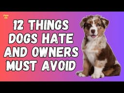 12 Things Dogs Hate and Owners Must Avoid | Things Dog Hate | Pets and Us