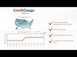 CreditGauge™September 2024: Credit Delinquencies Up and New Accounts Down.