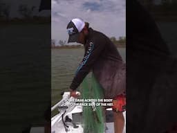 How to throw a cast net #fish #prawning #bcf #shorts