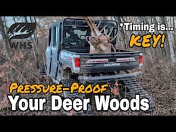 Pressure Your Deer Woods NOW | A Deer's View