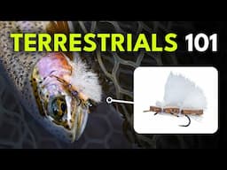 Terrestrial Flies for Trout: Top Patterns & When to Use Them | Module 3, Section 5