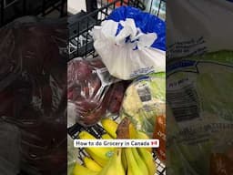 How to do grocery in Canada 🇨🇦 #groceryincabada #canada #groceryshopping