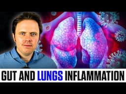 The Key Factors to Lung Inflammation! | Gut and Lungs Inflammation