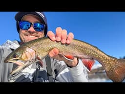 Washington's Best Big Brook Trout Ice Fishing Lake