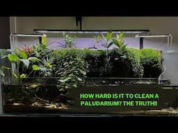 Cleaning my Massive 6-Foot Paludarium. Here is how it went!!