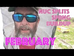 New Overwinter Honey Hole - Finally Pollen & Some Hive Build Up - Spring Splits Begin Gary's VLOG