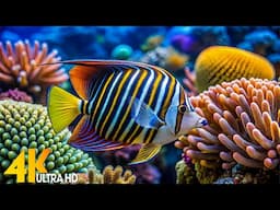 The Best 4K Aquarium - Dive Into The Mesmerizing Underwater Realm, Sea Jellyfish, Coral Reefs #3