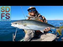 Tournament Fishing on My Solo Skiff | Bahia Asunción Yellowtail & Tuna Baja California Sur Mexico