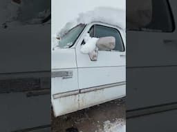 This k10 suburban is a BEAST in the snow! #oldchevysarebetter #lsswap #squarebodychevy #k10 #chevy