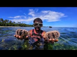 The Best Hangover Food In Waitabu, Taveuni: Sea Urchin, Lime & Chili🍋‍🟩🌶️🇫🇯