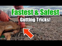 Field Dress a Deer in Minutes: Fast & Safe Gutting Tips for Every Hunter