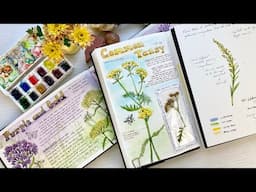 3 Ways to Journal in your Nature Diary