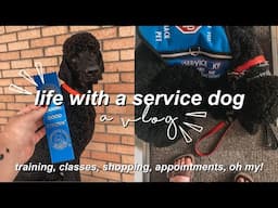 life with a service dog (a vlog!)