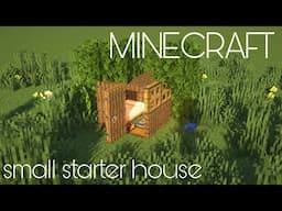 Minecraft | How to build tiny STARTER HOUSE