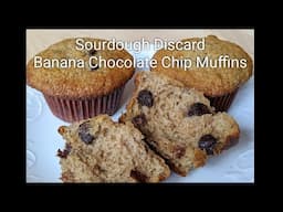 Banana Chocolate Chip Muffins Made With Sourdough Discard