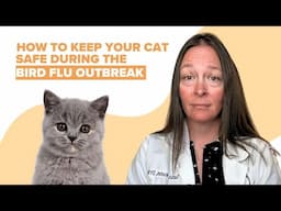 Bird Flu Outbreak in Cats Explained