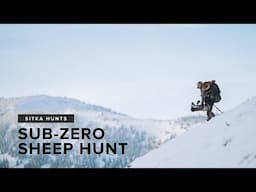 SITKA HUNTS | Bowhunting Bighorns in -25 °F