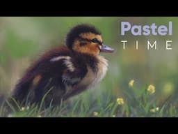 Duckling in Soft Pastel - Timelapse