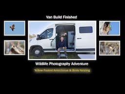 Wildlife Photography Adventure . Breeding Season