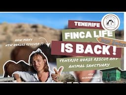 What has CHANGED at Tenerife Horse Rescue? - We are back with FINCA LIFE 2025 🐎