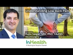 Understanding Low Back Pain