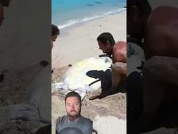 Man Saves Sea Turtle From Certain Death