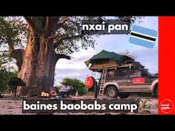 Campsite Review: Baines' Baobabs Camp - Nxai Pan National Park (Travel in Botswana)