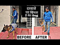 Dog Training: How to train your Dog Door Manners 🚪 🦮 (Stop Dog Leash Pulling in hindi)