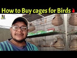 How to buy cages for your birds Budgies, Lovebirds, Cockateil, Java sparrow, Finches, Dove, ect