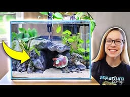 Making a Planted Betta Tank with Secret Cave! (Step by Step)