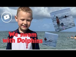 We Swam with Dolphins I can't Believe this Happened...