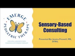 Sensory-Based Consulting Webinar: Expert Guidance for a More Supportive Environment