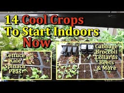 14 Cool Weather Garden Plants to Start Indoors Now for Spring (Seed Starting Class E-2)