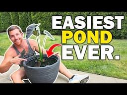 I Made The Easiest NO DIG / NO PLUG Pond In Less Than An Hour!