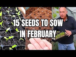 The Most Important Month In The Sowing Calendar:15 Seeds To Sow In February