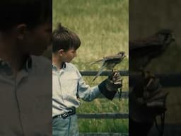 The key scene in Kes by Ken Loach