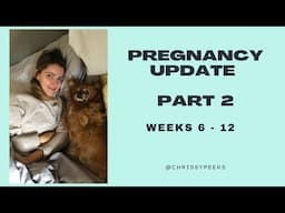 Pregnancy Update Weeks 6 - 12 | First Trimester | Sickness | Scan | Midwife | IVF | UK