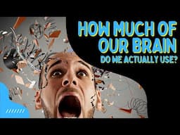 How Much of Our Brain Do We Actually Use?