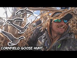 Winter Goose Hunt (FREEZING COLD INSANE!)