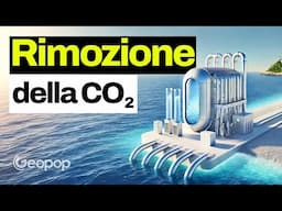 Trasformare la CO₂ in bicarbonato di calcio: la tecnologia che stocca l'anidride carbonica in mare