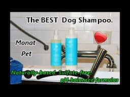 Best Dog Shampoo - Monat Pet