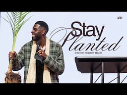 Stay Planted I Robert Madu I Social Dallas