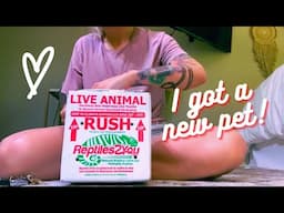 Reptile Unboxing | I GOT MY DREAM PET!!!