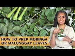 How to Prep Moringa | Malunggay Leaves