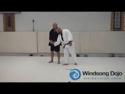 Aikido with Nick Lowry: Chains from Second Release